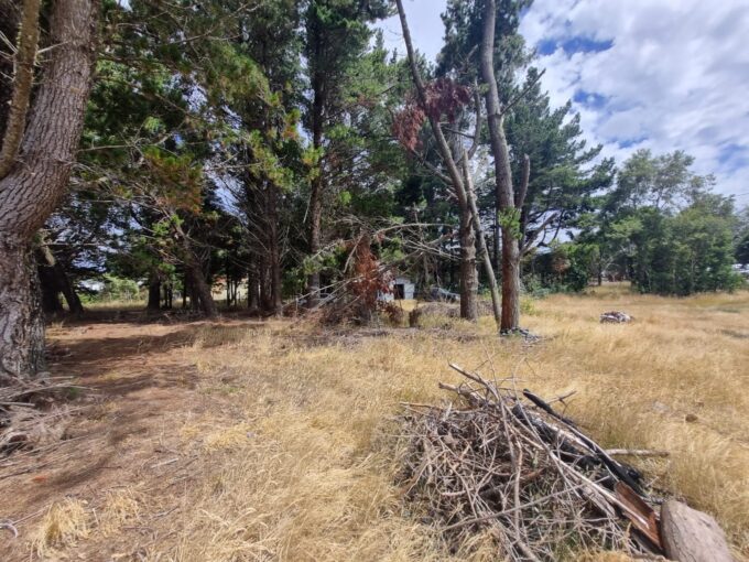VENDO PARCELAS EN PUERTO VARAS